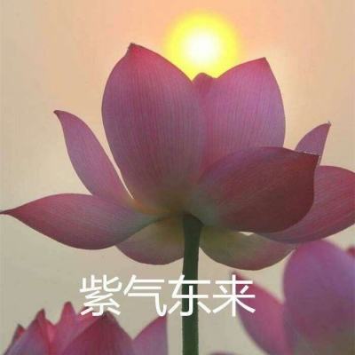 九章之三 哀郢